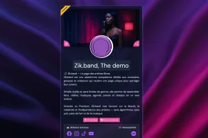 Comment booster son image d'artiste en ligne en moins d'une heure